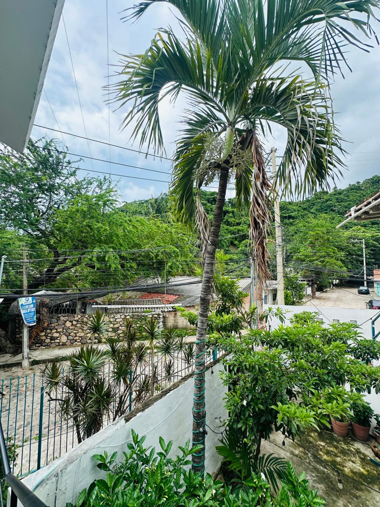 Appartement Loft Rio à Puerto Vallarta Extérieur photo